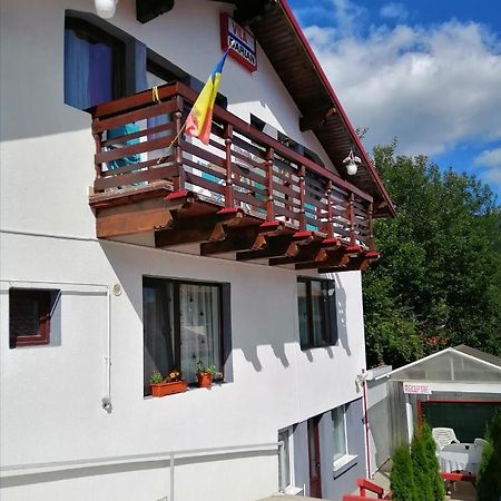 Buşteni Vila Darianヴィラ エクステリア 写真