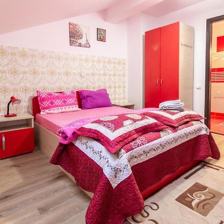 Buşteni Vila Darianヴィラ エクステリア 写真