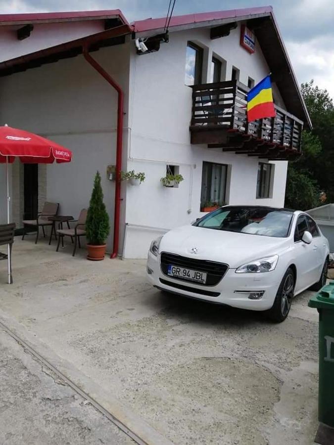 Buşteni Vila Darianヴィラ エクステリア 写真