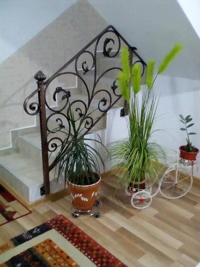 Buşteni Vila Darianヴィラ エクステリア 写真