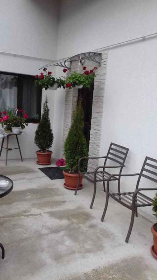 Buşteni Vila Darianヴィラ エクステリア 写真