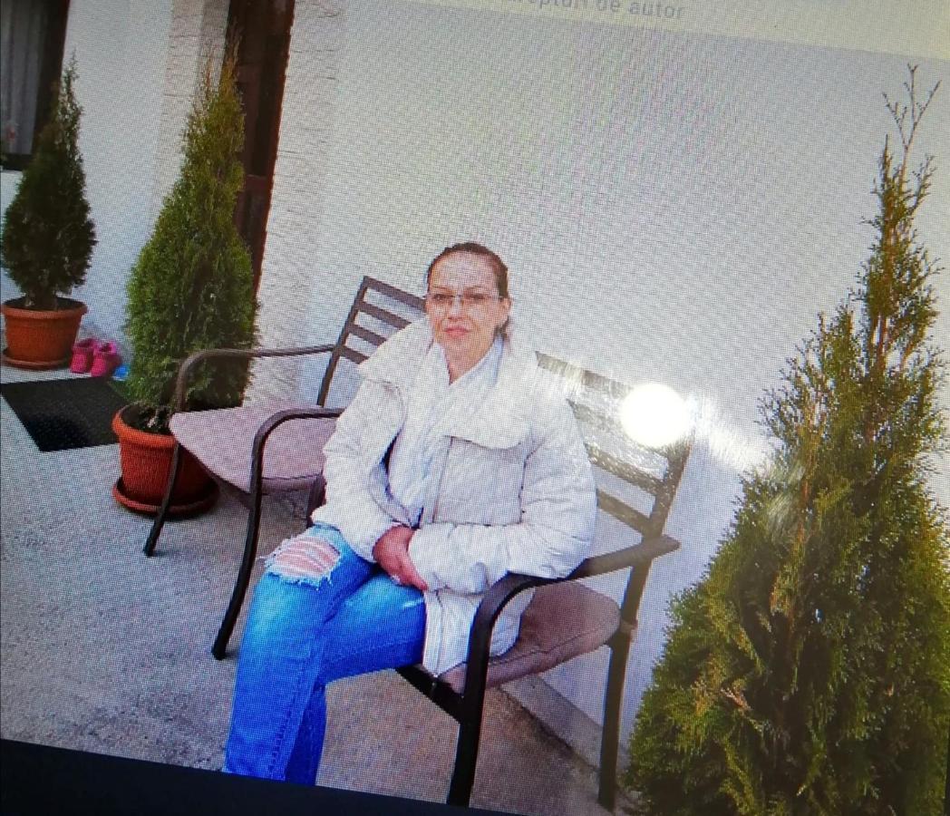 Buşteni Vila Darianヴィラ エクステリア 写真