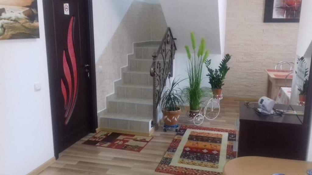 Buşteni Vila Darianヴィラ エクステリア 写真