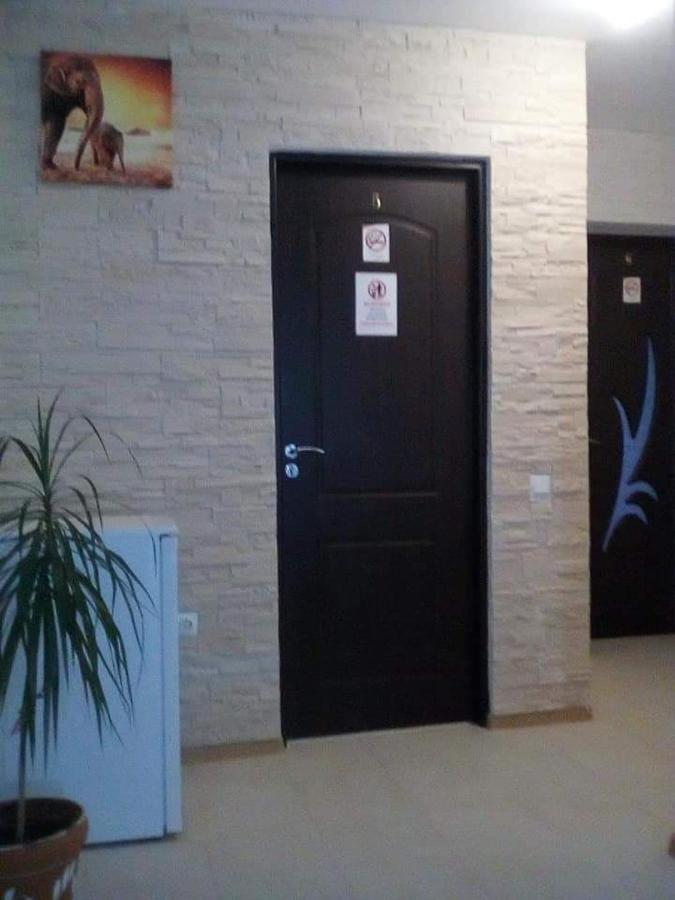 Buşteni Vila Darianヴィラ エクステリア 写真
