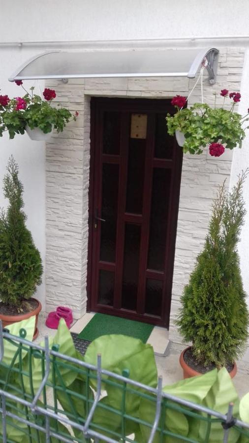 Buşteni Vila Darianヴィラ エクステリア 写真