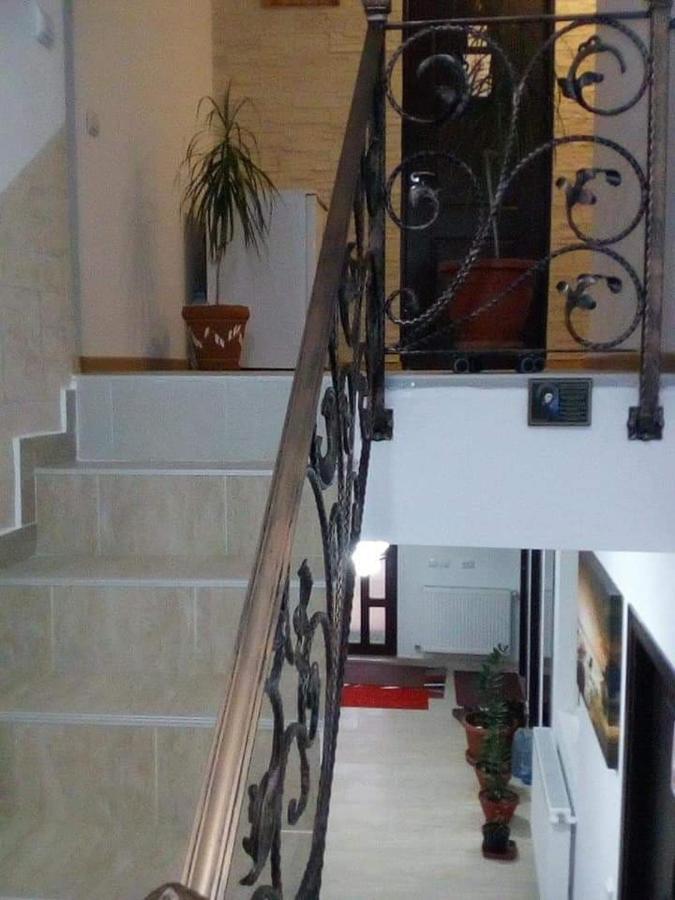 Buşteni Vila Darianヴィラ エクステリア 写真