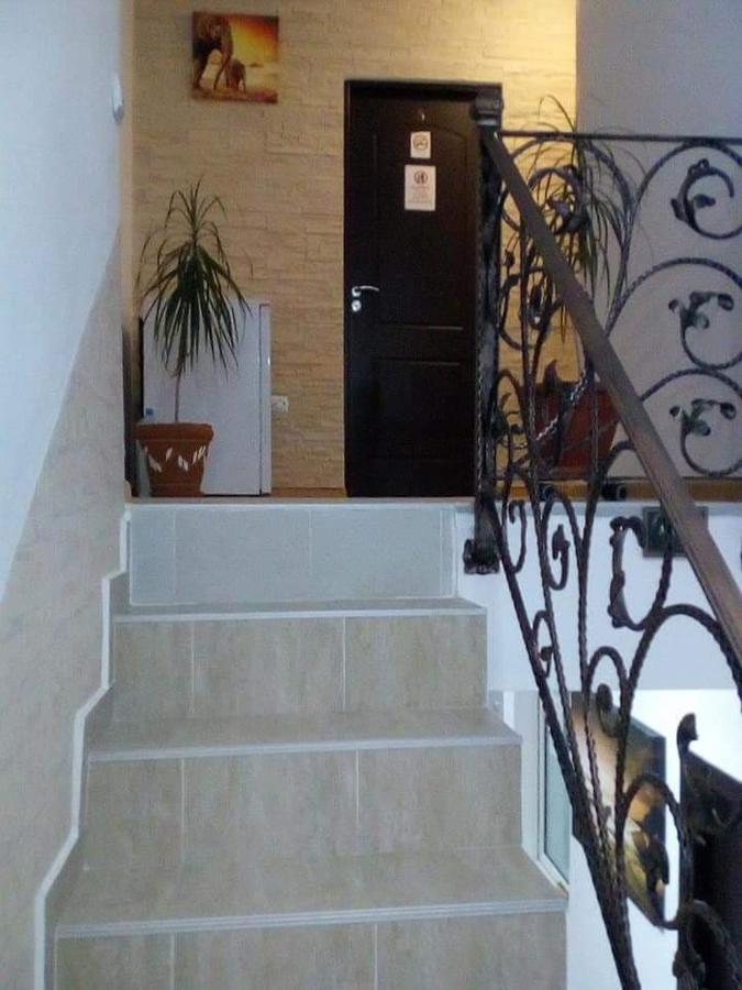 Buşteni Vila Darianヴィラ エクステリア 写真