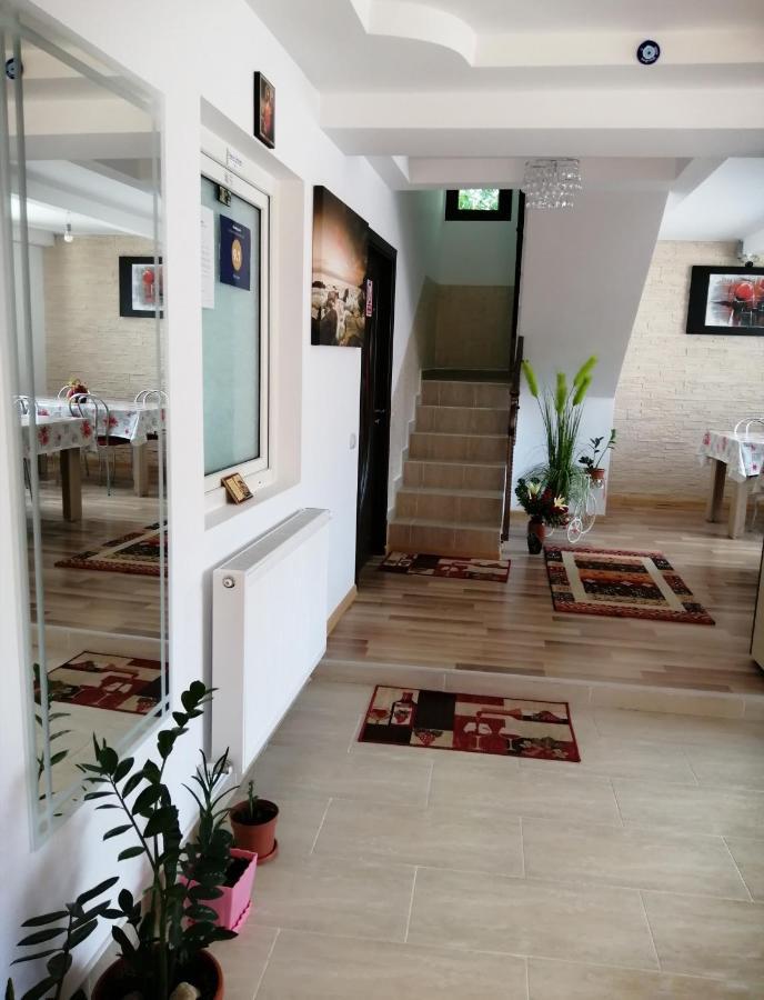 Buşteni Vila Darianヴィラ エクステリア 写真