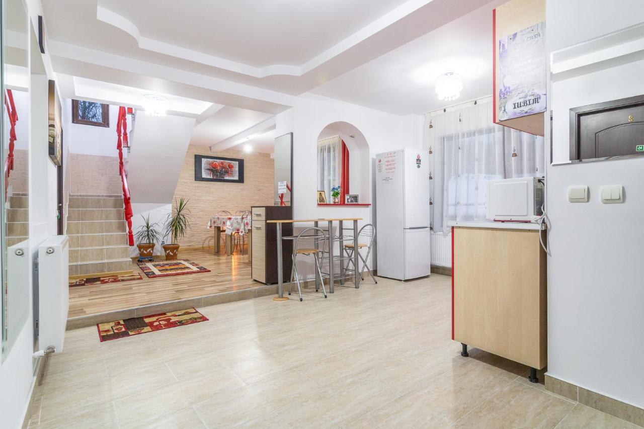 Buşteni Vila Darianヴィラ エクステリア 写真
