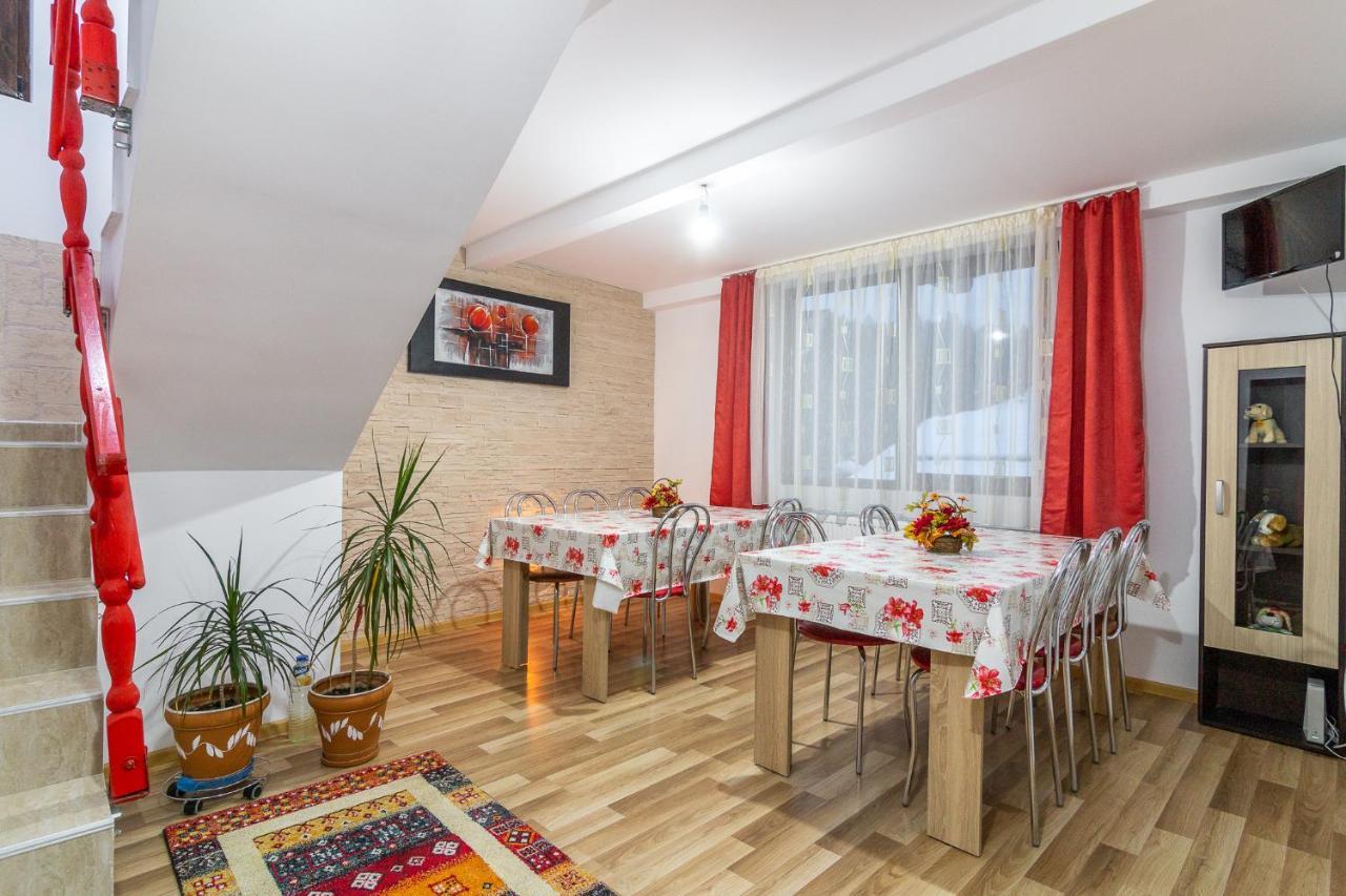 Buşteni Vila Darianヴィラ エクステリア 写真