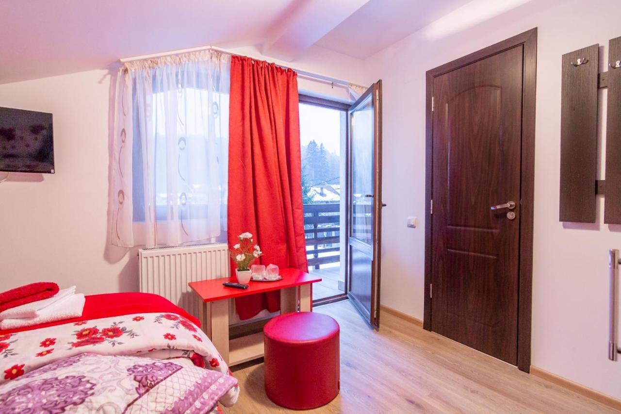 Buşteni Vila Darianヴィラ エクステリア 写真